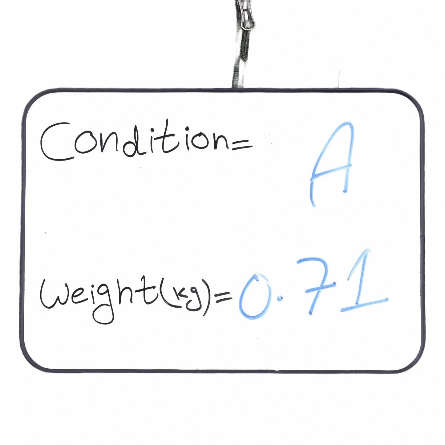 L.L.Bean Green Sweatshirt - XL