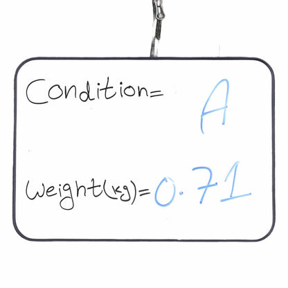 L.L.Bean Green Sweatshirt - XL