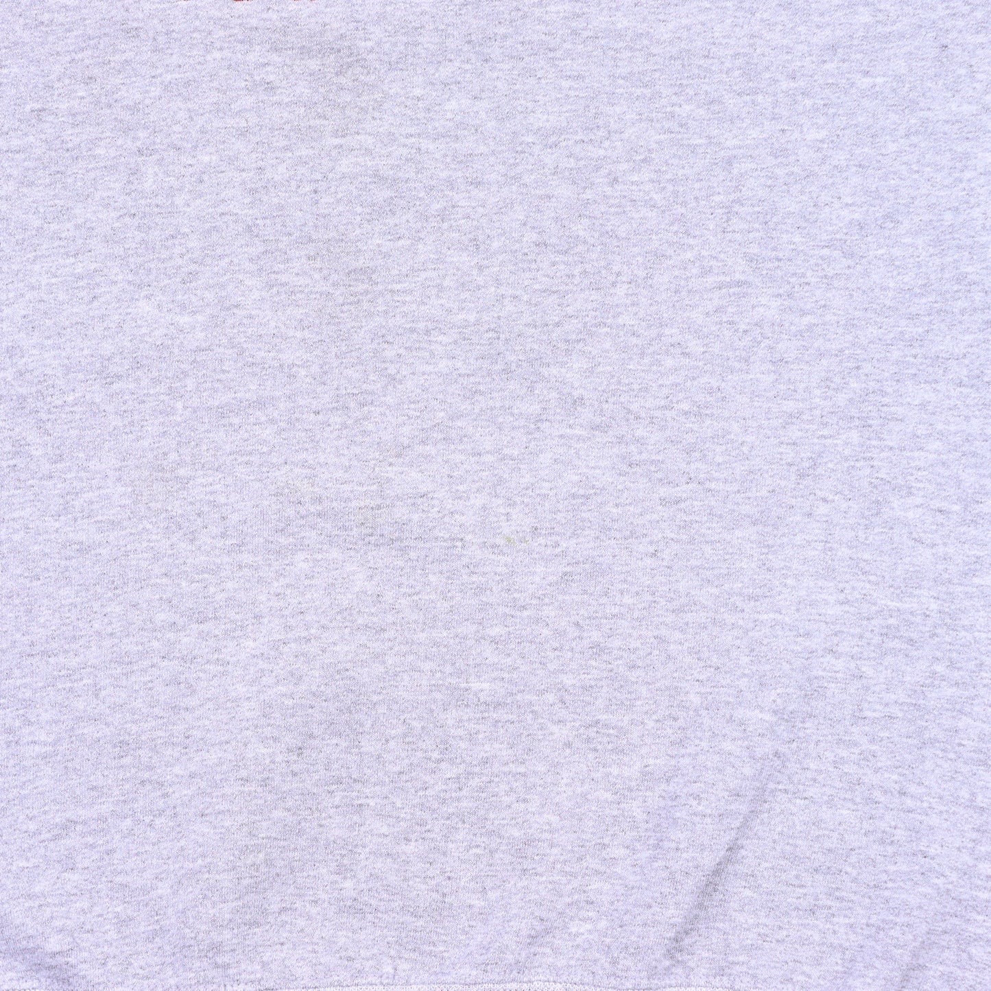 Champion Grey Sweatshirt - M